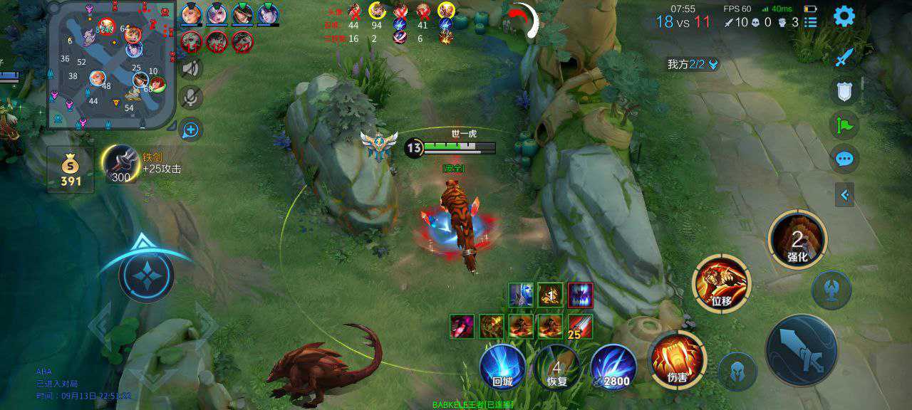 王者荣耀巅峰辅助科技