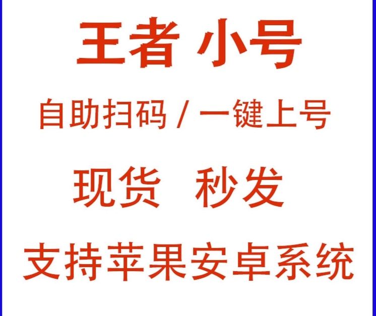 王者荣耀「AK」辅助
