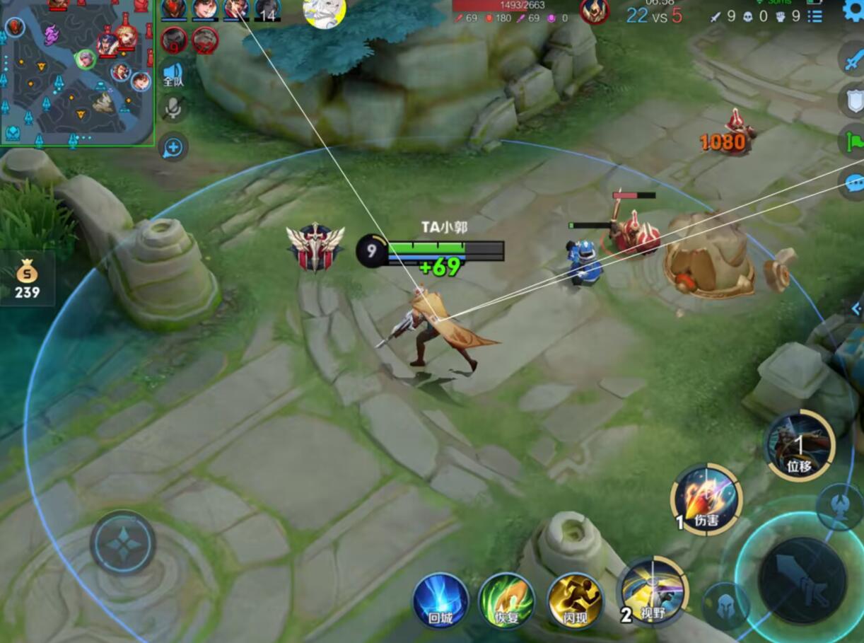 王者荣耀《北极熊》外挂