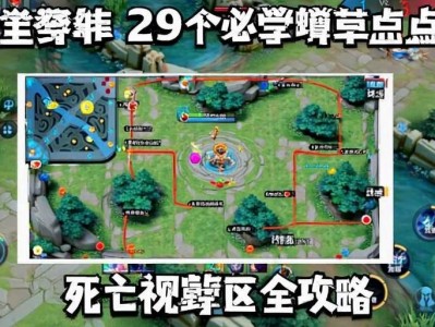 王者直装【ray】辅助